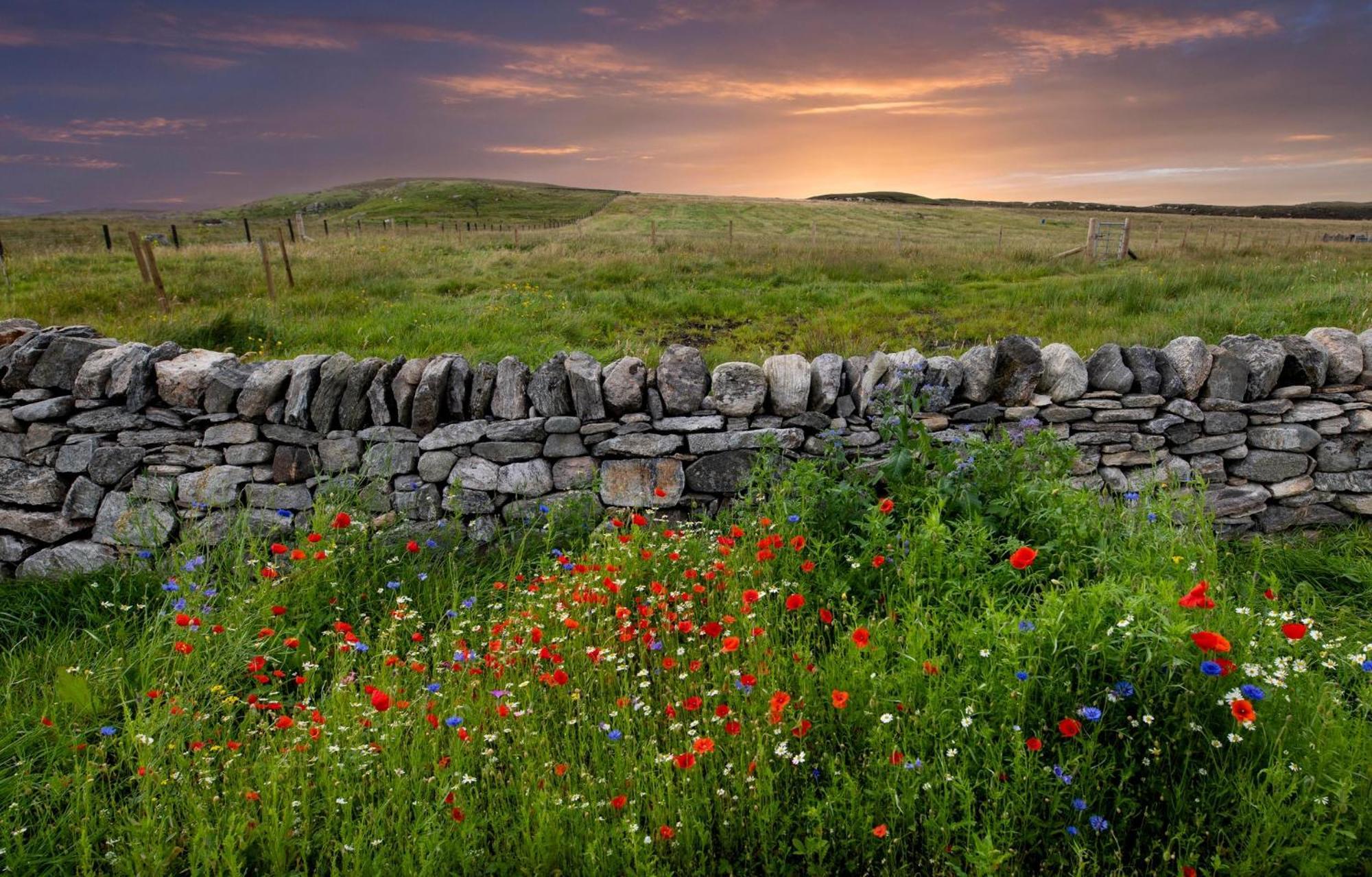 21 Callanish Luxury Pod ภายนอก รูปภาพ